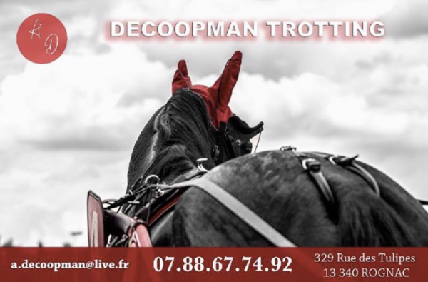decoopman_trotting