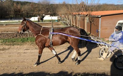 Cimarron de retour à Paris