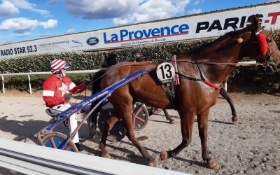 Cimarron en lice dans le quarté à Borély