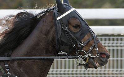 HUSSARD DU LANDRET